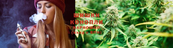 тгк Белокуриха