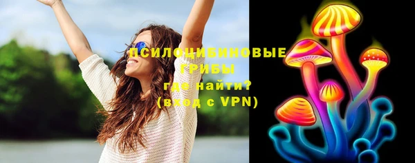 тгк Белокуриха