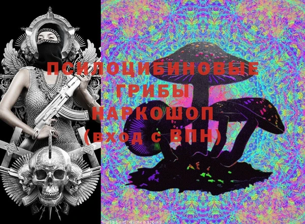 тгк Белокуриха