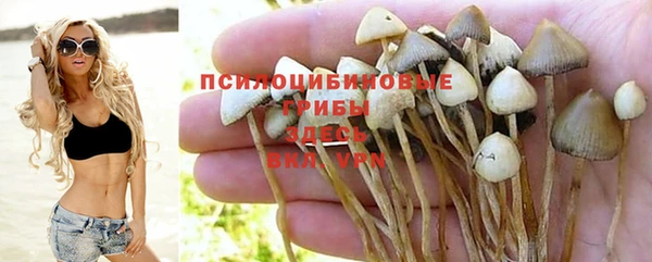 тгк Белокуриха